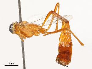  ( - CBG-B04135-B11)  @11 [ ] CreativeCommons - Attribution Share - Alike (2025) CBG Photography Group Centre for Biodiversity Genomics