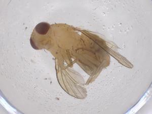  ( - CBG-B22193-E10)  @11 [ ] CreativeCommons - Attribution Share - Alike (2025) Centre for Biodiversity Genomics Centre for Biodiversity Genomics