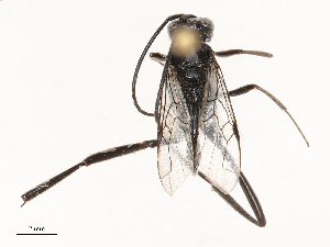  ( - CBG-B23309-F05)  @11 [ ] CreativeCommons - Attribution Share - Alike (2025) CBG Photography Group Centre for Biodiversity Genomics