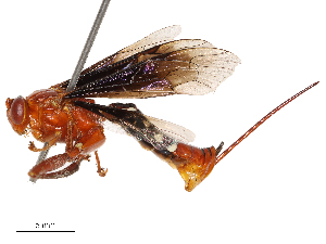  ( - CBG-B23314-C06)  @11 [ ] CreativeCommons - Attribution Share - Alike (2025) CBG Photography Group Centre for Biodiversity Genomics