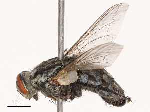  ( - CBG-B23314-H07)  @11 [ ] CreativeCommons - Attribution Share - Alike (2025) CBG Photography Group Centre for Biodiversity Genomics