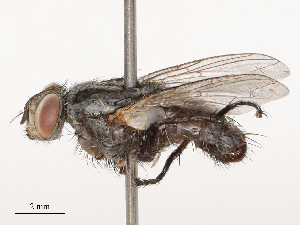  ( - CBG-B23326-H05)  @11 [ ] CreativeCommons - Attribution Share - Alike (2025) CBG Photography Group Centre for Biodiversity Genomics