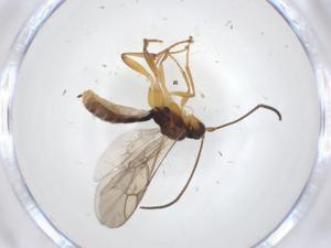  ( - CBG-A12457-D02)  @11 [ ] CreativeCommons - Attribution Share - Alike (2023) Centre for Biodiversity Genomics Centre for Biodiversity Genomics