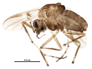 ( - BIOUG21551-D09)  @14 [ ] CreativeCommons - Attribution (2015) CBG Photography Group Centre for Biodiversity Genomics