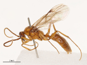  ( - CBG-B03414-F07)  @11 [ ] CreativeCommons - Attribution Share - Alike (2025) CBG Photography Group Centre for Biodiversity Genomics