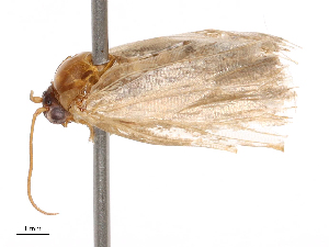  ( - CBG-B04359-B07)  @11 [ ] CreativeCommons - Attribution Share - Alike (2025) CBG Photography Group Centre for Biodiversity Genomics