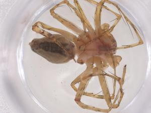  ( - CBG-B04491-F04)  @11 [ ] CreativeCommons - Attribution Share - Alike (2025) Centre for Biodiversity Genomics Centre for Biodiversity Genomics