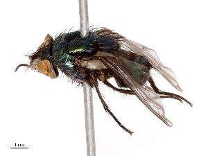  ( - CBG-B04794-A06)  @11 [ ] CreativeCommons - Attribution Share - Alike (2025) CBG Photography Group Centre for Biodiversity Genomics