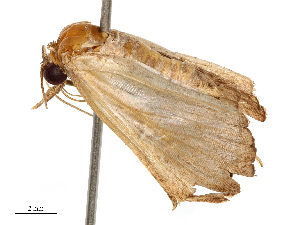  ( - CBG-B04794-F09)  @11 [ ] CreativeCommons - Attribution Share - Alike (2025) CBG Photography Group Centre for Biodiversity Genomics