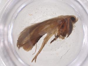  ( - CBG-B01151-D02)  @11 [ ] CreativeCommons - Attribution Share - Alike (2025) Centre for Biodiversity Genomics Centre for Biodiversity Genomics