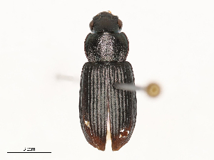  ( - CBG-B01797-E09)  @11 [ ] CreativeCommons - Attribution Share - Alike (2025) CBG Photography Group Centre for Biodiversity Genomics