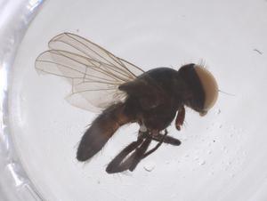  ( - CBG-B01988-G12)  @11 [ ] CreativeCommons - Attribution Share - Alike (2025) Centre for Biodiversity Genomics Centre for Biodiversity Genomics