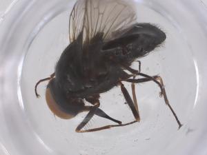  ( - CBG-B02512-B07)  @11 [ ] CreativeCommons - Attribution Share - Alike (2025) Centre for Biodiversity Genomics Centre for Biodiversity Genomics