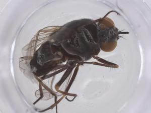  ( - CBG-B02512-D05)  @11 [ ] CreativeCommons - Attribution Share - Alike (2025) Centre for Biodiversity Genomics Centre for Biodiversity Genomics