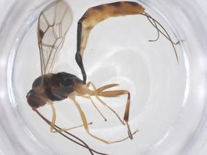  ( - CBG-B02514-F07)  @11 [ ] CreativeCommons - Attribution Share - Alike (2025) Centre for Biodiversity Genomics Centre for Biodiversity Genomics