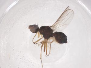  ( - CBG-B02515-G03)  @11 [ ] CreativeCommons - Attribution Share - Alike (2025) Centre for Biodiversity Genomics Centre for Biodiversity Genomics