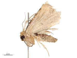  ( - CBG-B02548-D08)  @11 [ ] CreativeCommons - Attribution Share - Alike (2025) CBG Photography Group Centre for Biodiversity Genomics