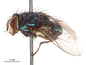  ( - CBG-B02548-F07)  @11 [ ] CreativeCommons - Attribution Share - Alike (2025) CBG Photography Group Centre for Biodiversity Genomics