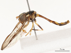  ( - CBG-B02550-C05)  @11 [ ] CreativeCommons - Attribution Share - Alike (2025) CBG Photography Group Centre for Biodiversity Genomics