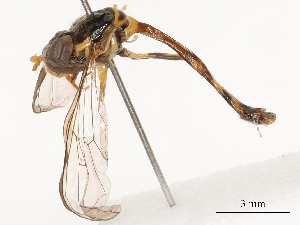  ( - CBG-B02550-C06)  @11 [ ] CreativeCommons - Attribution Share - Alike (2025) CBG Photography Group Centre for Biodiversity Genomics
