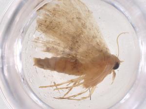  ( - CBG-B02579-G04)  @11 [ ] CreativeCommons - Attribution Share - Alike (2025) Centre for Biodiversity Genomics Centre for Biodiversity Genomics