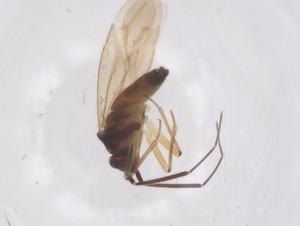  ( - CBG-B02787-B07)  @11 [ ] CreativeCommons - Attribution Share - Alike (2025) Centre for Biodiversity Genomics Centre for Biodiversity Genomics