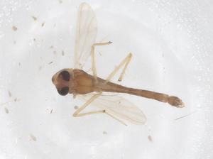  ( - CBG-B23658-C04)  @11 [ ] CreativeCommons - Attribution Share - Alike (2025) Centre for Biodiversity Genomics Centre for Biodiversity Genomics