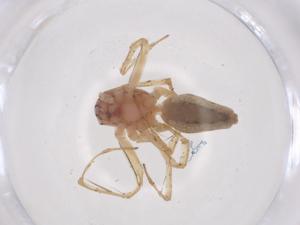  ( - CBG-B23724-E02)  @11 [ ] CreativeCommons - Attribution Share - Alike (2025) Centre for Biodiversity Genomics Centre for Biodiversity Genomics