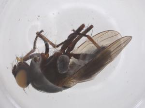  ( - CBG-B23726-E02)  @11 [ ] CreativeCommons - Attribution Share - Alike (2025) Centre for Biodiversity Genomics Centre for Biodiversity Genomics