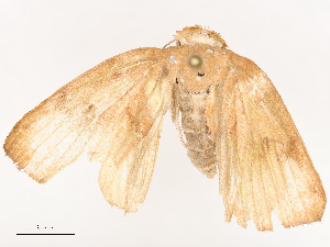  ( - CBG-B00175-B07)  @11 [ ] CreativeCommons - Attribution Share - Alike (2025) CBG Photography Group Centre for Biodiversity Genomics