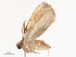  ( - CBG-B00175-D02)  @11 [ ] CreativeCommons - Attribution Share - Alike (2025) CBG Photography Group Centre for Biodiversity Genomics