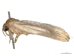  ( - CBG-B00193-F10)  @11 [ ] CreativeCommons - Attribution Share - Alike (2025) CBG Photography Group Centre for Biodiversity Genomics