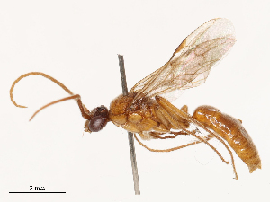  ( - CBG-B04685-B10)  @11 [ ] CreativeCommons - Attribution Share - Alike (2025) CBG Photography Group Centre for Biodiversity Genomics