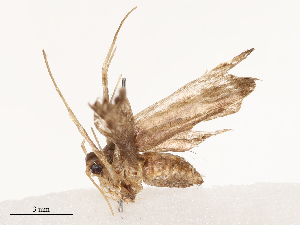  ( - CBG-B04781-E07)  @11 [ ] CreativeCommons - Attribution Share - Alike (2025) CBG Photography Group Centre for Biodiversity Genomics