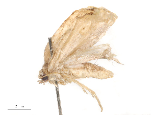  ( - CBG-B04806-C03)  @11 [ ] CreativeCommons - Attribution Share - Alike (2025) CBG Photography Group Centre for Biodiversity Genomics