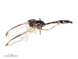  ( - CBG-B04806-F12)  @11 [ ] CreativeCommons - Attribution Share - Alike (2025) CBG Photography Group Centre for Biodiversity Genomics