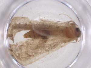  ( - CBG-B04998-E04)  @11 [ ] CreativeCommons - Attribution Share - Alike (2025) Centre for Biodiversity Genomics Centre for Biodiversity Genomics