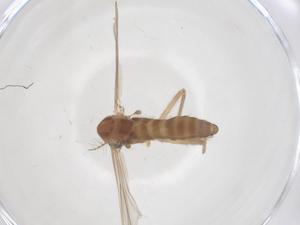  ( - CBG-B03512-E05)  @11 [ ] CreativeCommons - Attribution Share - Alike (2025) Centre for Biodiversity Genomics Centre for Biodiversity Genomics