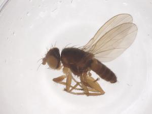  ( - CBG-B04375-H06)  @11 [ ] CreativeCommons - Attribution Share - Alike (2025) Centre for Biodiversity Genomics Centre for Biodiversity Genomics