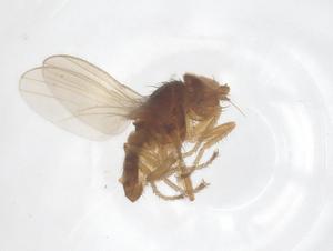  ( - CBG-B05174-H10)  @11 [ ] CreativeCommons - Attribution Share - Alike (2025) Centre for Biodiversity Genomics Centre for Biodiversity Genomics