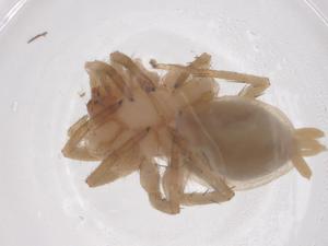  ( - CBG-B20032-A09)  @11 [ ] CreativeCommons - Attribution Share - Alike (2025) Centre for Biodiversity Genomics Centre for Biodiversity Genomics