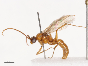  ( - CBG-B01170-C02)  @11 [ ] CreativeCommons - Attribution Share - Alike (2025) CBG Photography Group Centre for Biodiversity Genomics