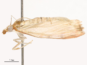  ( - CBG-B01173-F03)  @11 [ ] CreativeCommons - Attribution Share - Alike (2025) CBG Photography Group Centre for Biodiversity Genomics