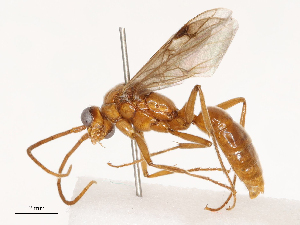  ( - CBG-B02341-D08)  @11 [ ] CreativeCommons - Attribution Share - Alike (2025) CBG Photography Group Centre for Biodiversity Genomics