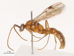  ( - CBG-B02341-D09)  @11 [ ] CreativeCommons - Attribution Share - Alike (2025) CBG Photography Group Centre for Biodiversity Genomics