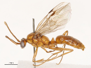  ( - CBG-B02341-D10)  @11 [ ] CreativeCommons - Attribution Share - Alike (2025) CBG Photography Group Centre for Biodiversity Genomics