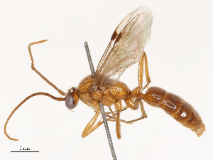  ( - CBG-B02341-D12)  @11 [ ] CreativeCommons - Attribution Share - Alike (2025) CBG Photography Group Centre for Biodiversity Genomics