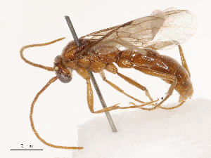  ( - CBG-B02341-G08)  @11 [ ] CreativeCommons - Attribution Share - Alike (2025) CBG Photography Group Centre for Biodiversity Genomics