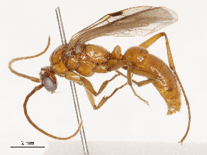  ( - CBG-B02342-D03)  @11 [ ] CreativeCommons - Attribution Share - Alike (2025) CBG Photography Group Centre for Biodiversity Genomics