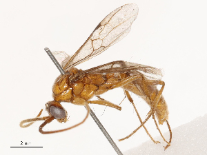  ( - CBG-B02342-D04)  @11 [ ] CreativeCommons - Attribution Share - Alike (2025) CBG Photography Group Centre for Biodiversity Genomics